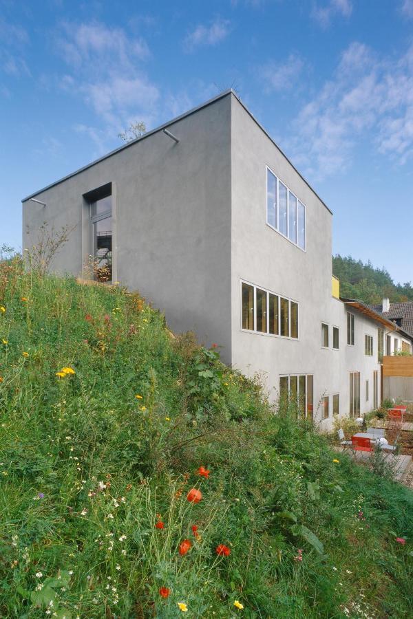 seehaus forelle haeckenhaus Ramsen Exterior foto